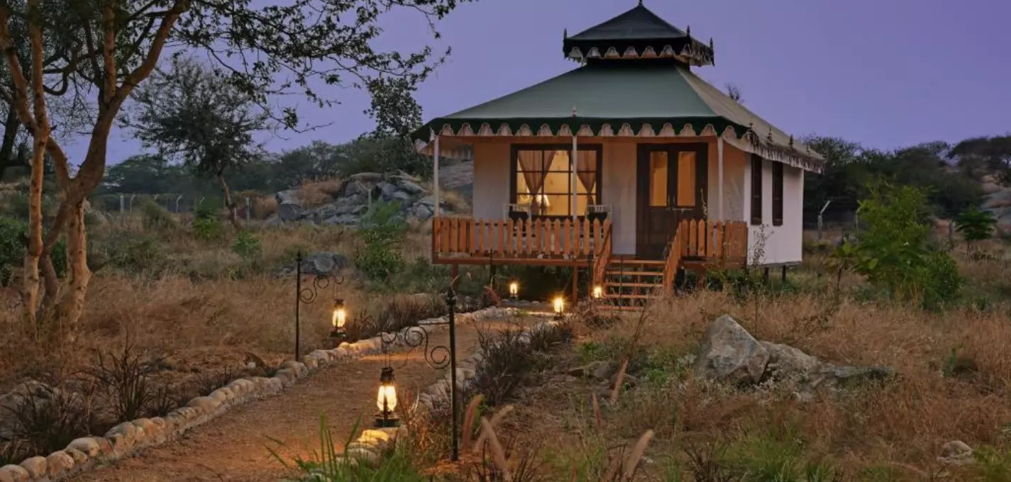 Jawai Leopard Safari